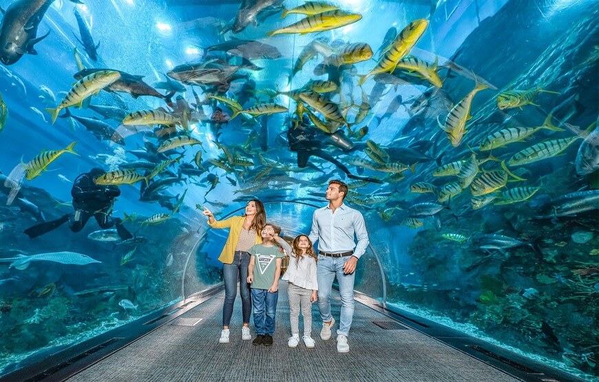 The Dubai Mall Aquarium and Underwater Zoo is a stunning aquatic haven located in the world-famous shopping center of Dubai. With over 200 species of aquatic life, this aquarium is one of the largest and most diverse in the world.