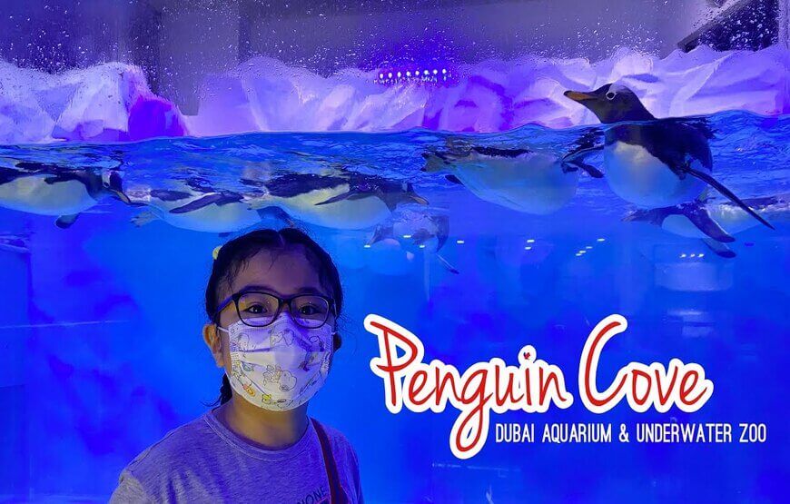 Dubai mall aquarium and penguin cave visit tickets