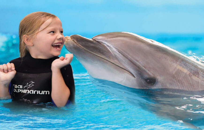 Dolphin and Sea show regular tickets