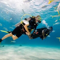 Scuba divers exploring the vibrant coral reef and marine life during a tour in Dubai