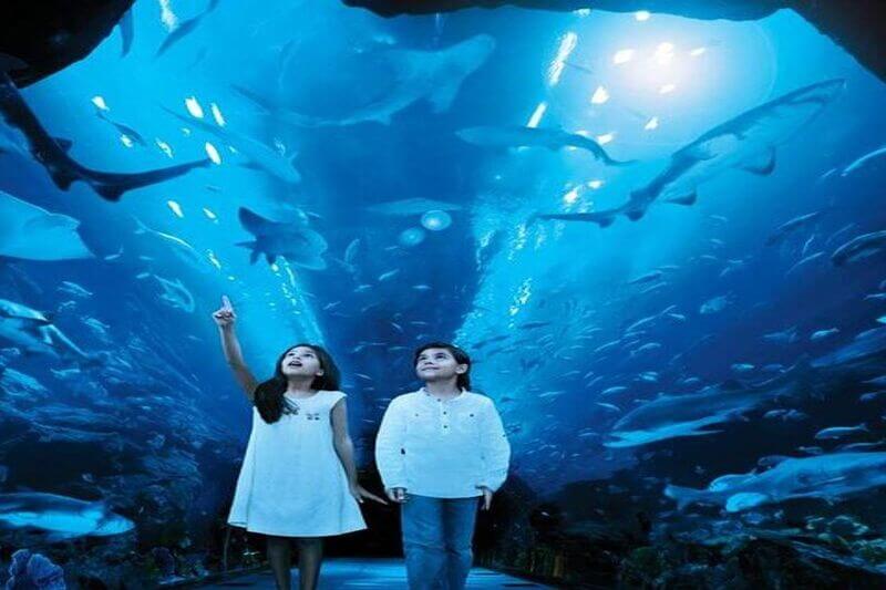 Burj Khaleefa with Aquarium tickets (1)