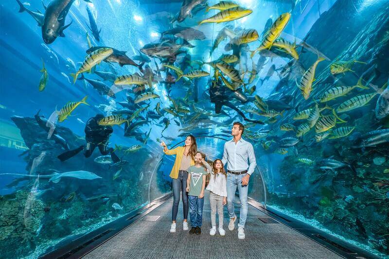 Burj Khaleefa with Aquarium tickets (2)