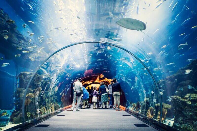 Burj Khaleefa with Aquarium tickets (3)