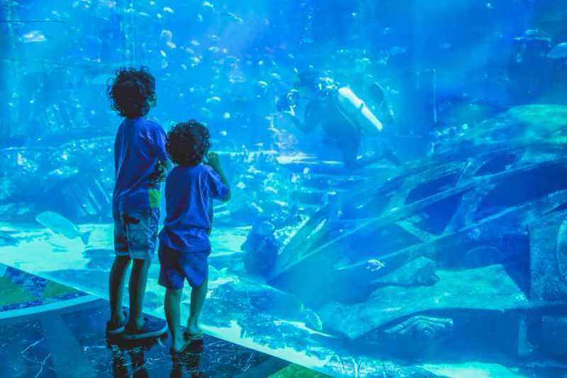 Burj Khaleefa with Aquarium tickets (5)