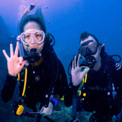 Scuba diver exploring the colorful coral reef and marine life in Fujairah waters