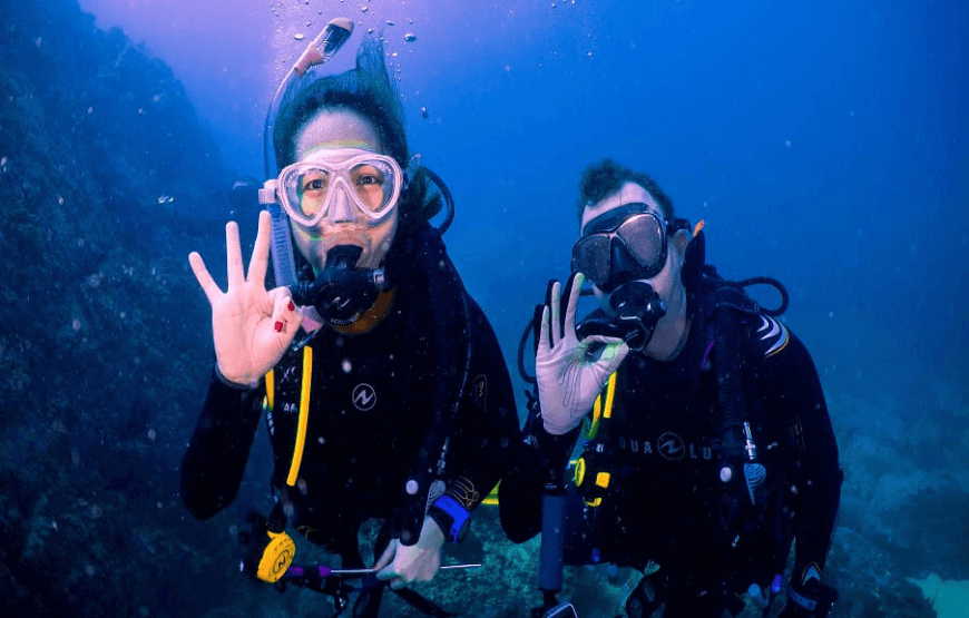 Scuba diver exploring the colorful coral reef and marine life in Fujairah waters
