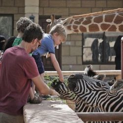 A family smiling and posing with a majestic tiger at Emirates Park Zoo in Dubai, surrounded by lush greenery and natural habitats for the animals