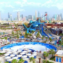 A group of people having fun on a thrilling water slide in Laguna Water Park Dubai, surrounded by clear blue water and palm trees.