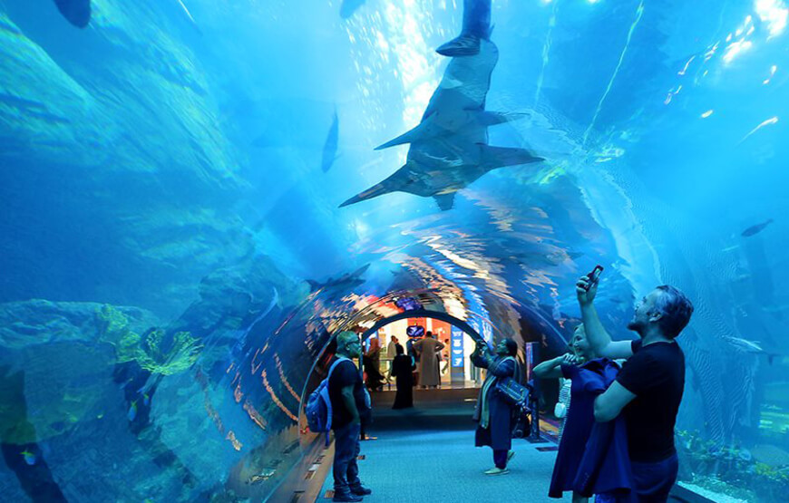 Discover the tallest building in the world, the Burj Khalifa, and the underwater world at the Dubai Aquarium & Underwater Zoo. A must-visit experience in Dubai.