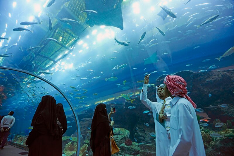 Dubai Mall Aquarium and Under water zoo basic (2)