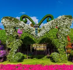 Butterfly Garden Dubai