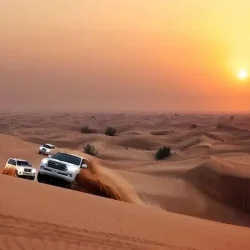 Evening Desert Safari with BBQ dinner