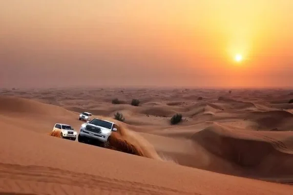 Evening Desert Safari with BBQ dinner