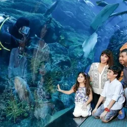 Dubai Mall Aquarium & Underwater Zoo