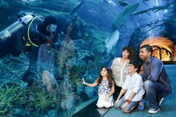 Dubai Mall Aquarium & Underwater Zoo