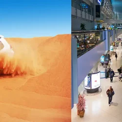 Evening Desert Safari With Dubai Shopping Tour