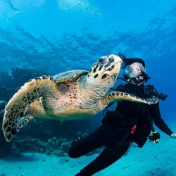 Scuba Diving Tour