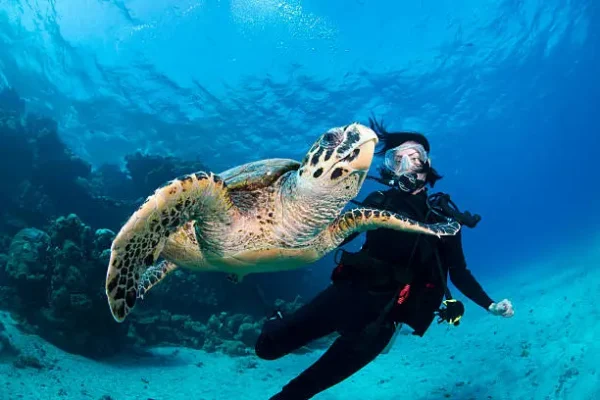 Scuba Diving Tour