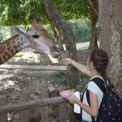 Emirates Park Zoo