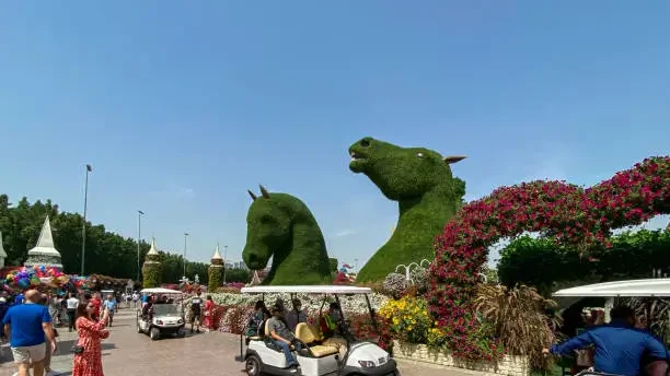 Miracle Garden Dubai