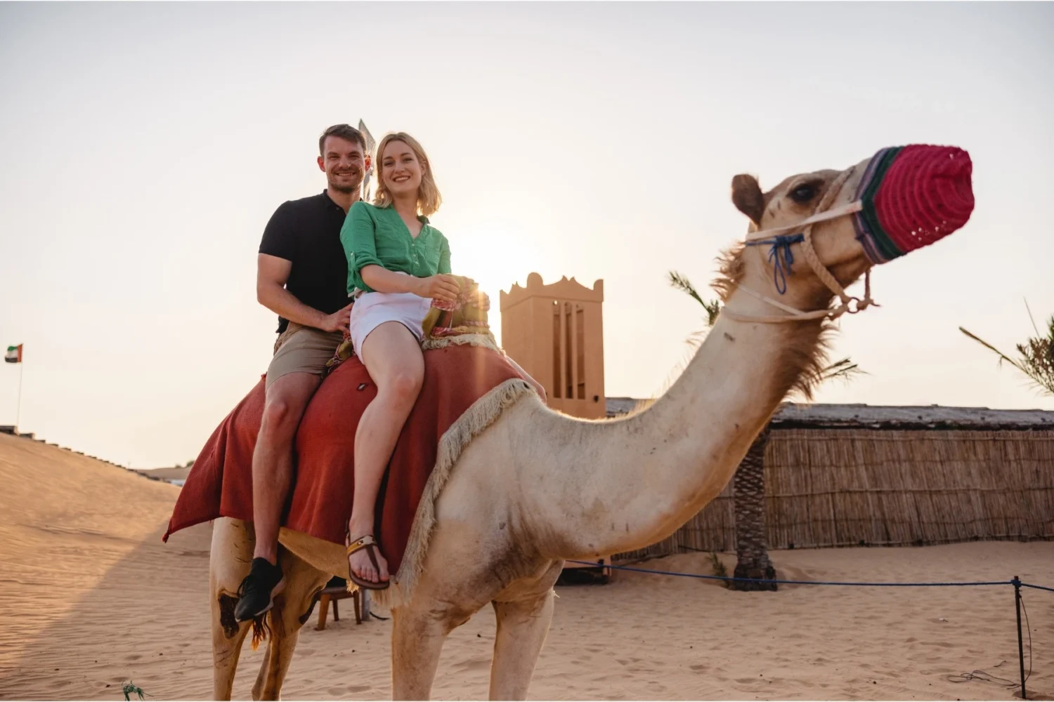 Camel Riding in Dubai