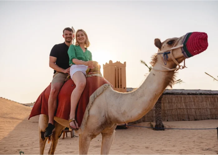 Camel Riding in Dubai