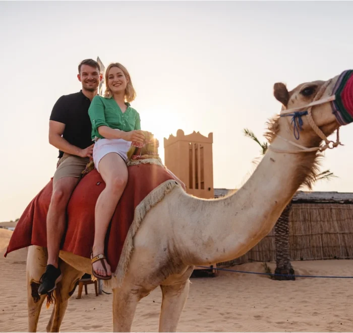 Camel Riding in Dubai