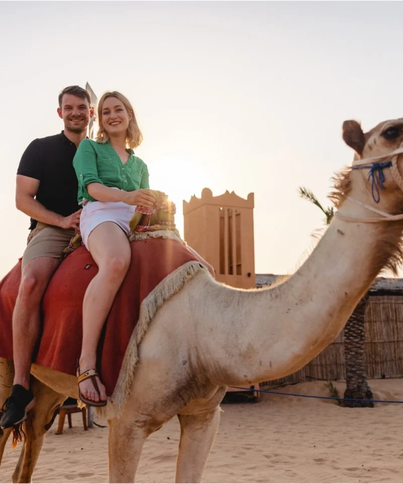 Camel Riding in Dubai