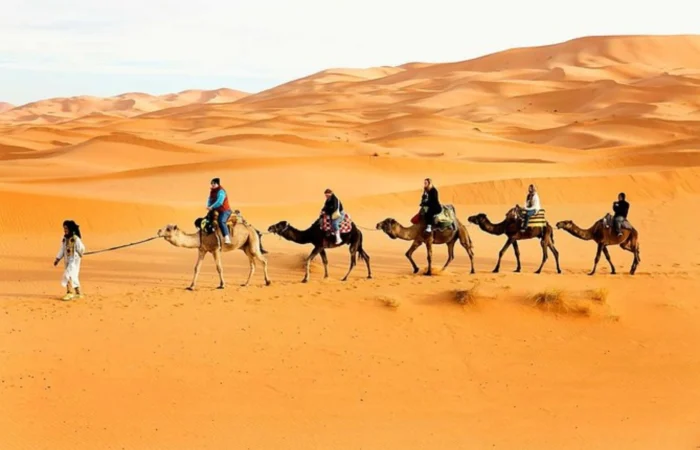 Camel Trekking in Abu Dhabi