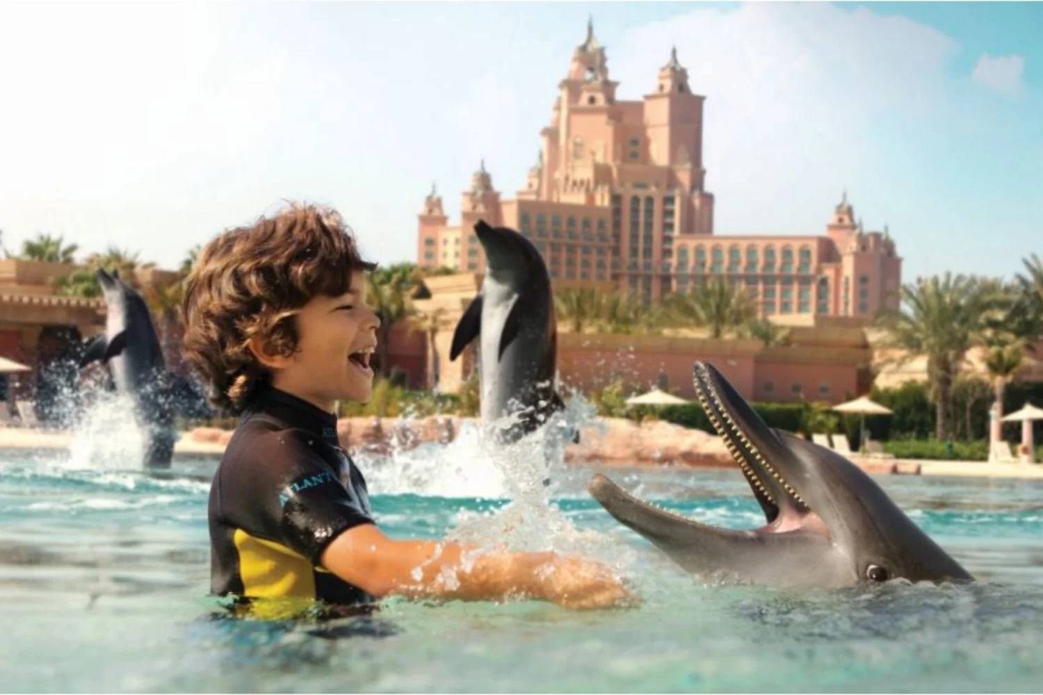 Dubai Dolphinarium Tickets