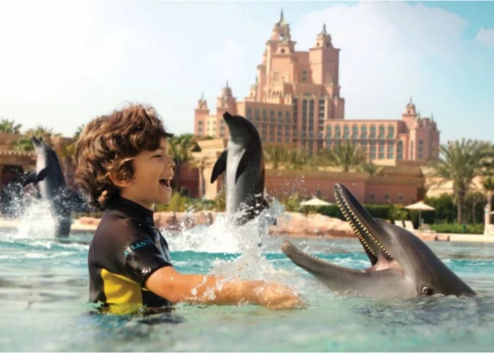 Dubai Dolphinarium Tickets