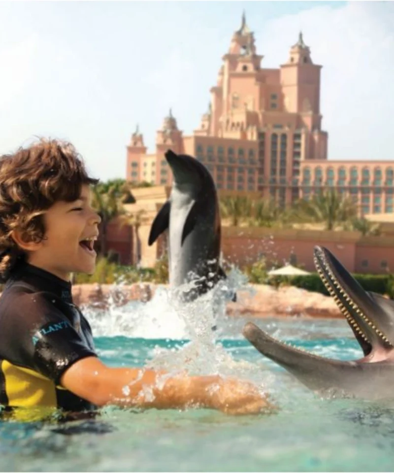 Dubai Dolphinarium Tickets