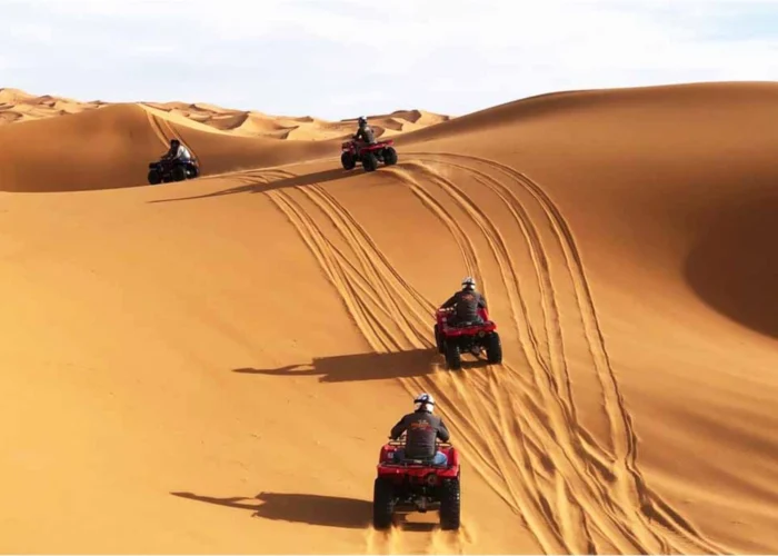 Morning Desert Safari | 4 Secrets Missed at Sunrise