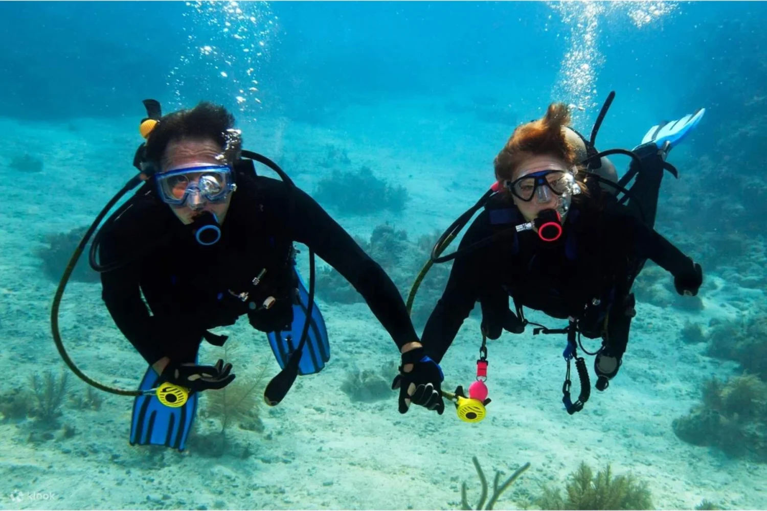 Scuba Diving Tour in Dubai