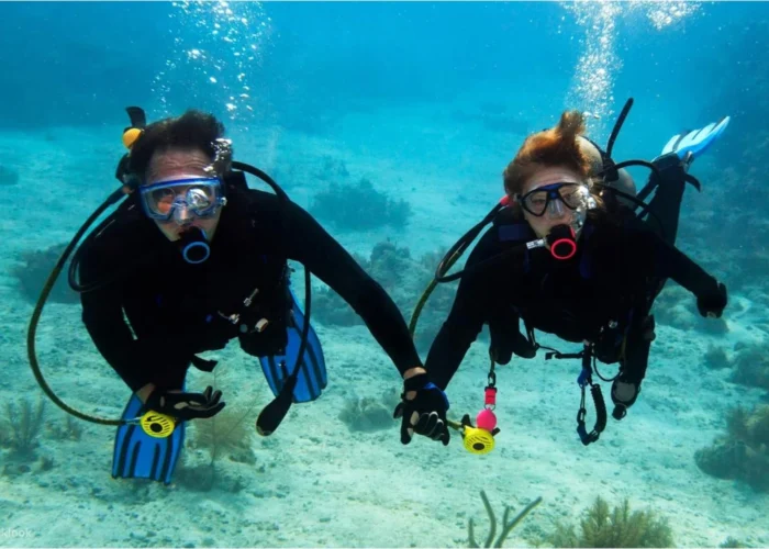 Scuba Diving Tour in Dubai